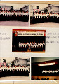t8511 (1)_thumb.jpg